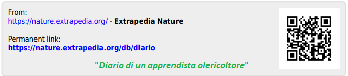 diario.png